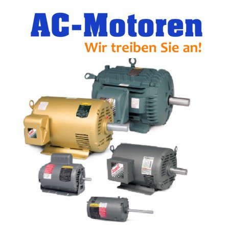 AC-Motoren PDM-4-B35-22-180L-G-Z1, 180L, 22 kW Motor