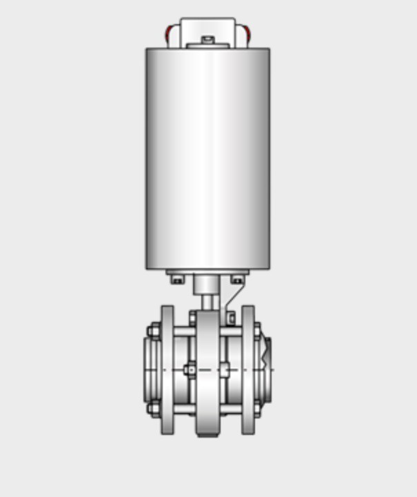 Kieselmann 4410 S-S Intermediate Flange Butterfly Valve