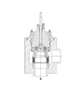 RBR Valvole AG3 Type Cage Guided Angle Globe Control Valve